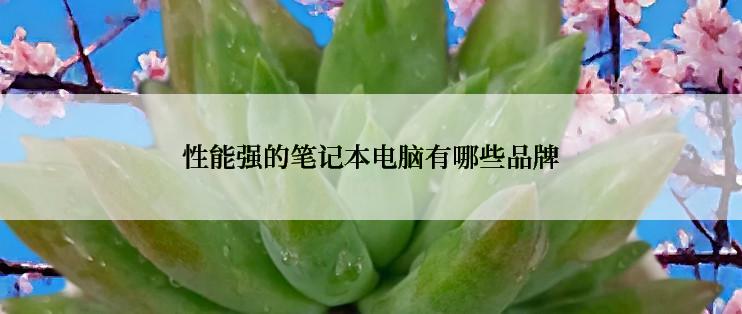 性能强的笔记本电脑有哪些品牌