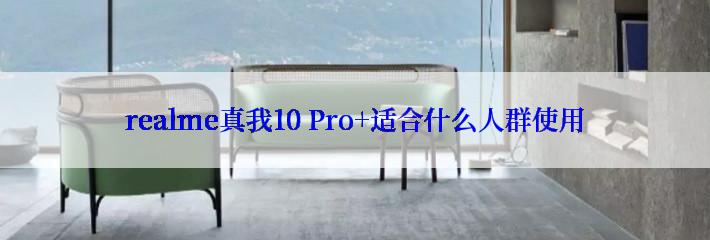 realme真我10 Pro+适合什么人群使用