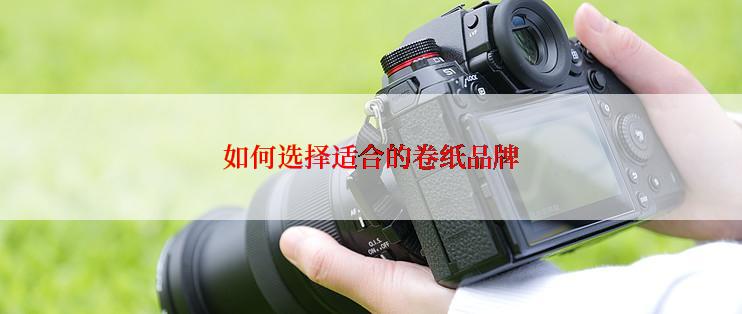 如何选择适合的卷纸品牌