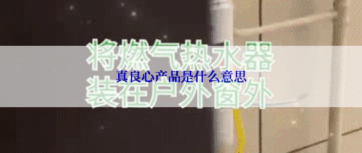 真良心产品是什么意思