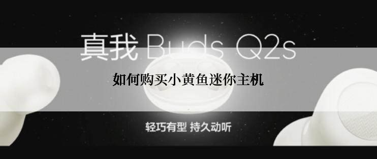 如何购买小黄鱼迷你主机