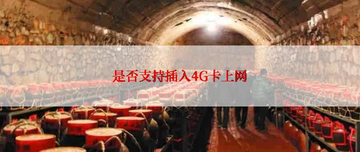 是否支持插入4G卡上网