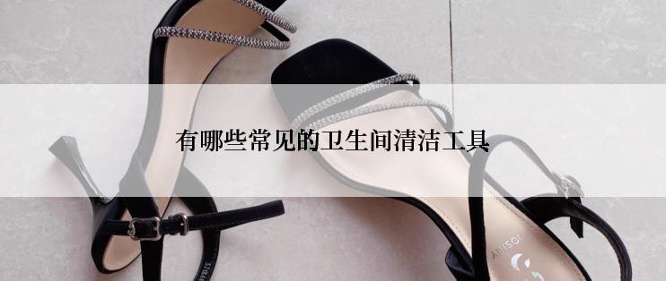 有哪些常见的卫生间清洁工具