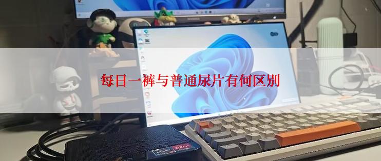 每日一裤与普通尿片有何区别