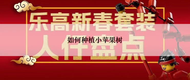 如何种植小苹果树
