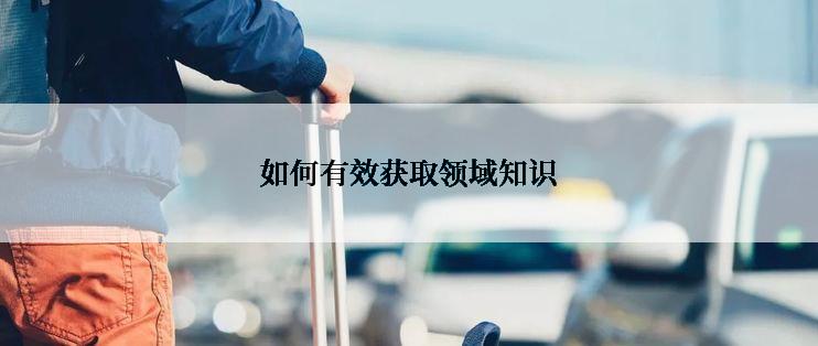 如何有效获取领域知识