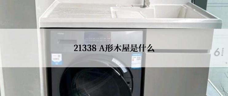 21338 A形木屋是什么