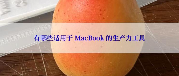 有哪些适用于 MacBook 的生产力工具