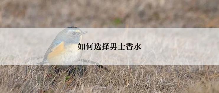 如何选择男士香水