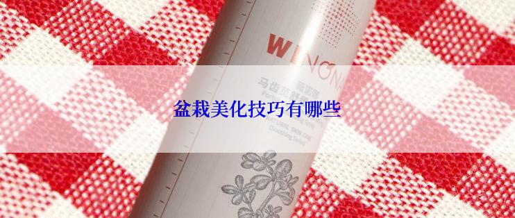 盆栽美化技巧有哪些