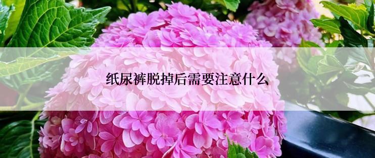 纸尿裤脱掉后需要注意什么
