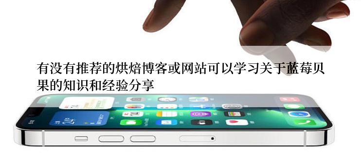 有没有推荐的烘焙博客或网站可以学习关于蓝莓贝果的知识和经验分享