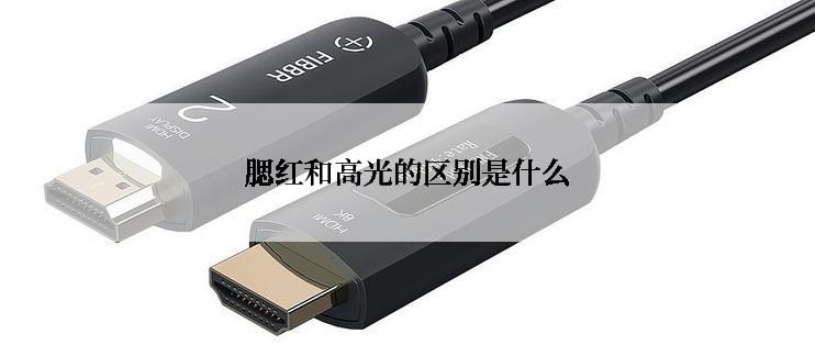 腮红和高光的区别是什么