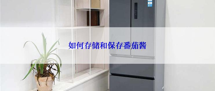 如何存储和保存番茄酱