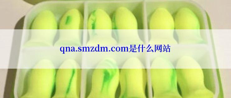 qna.smzdm.com是什么网站