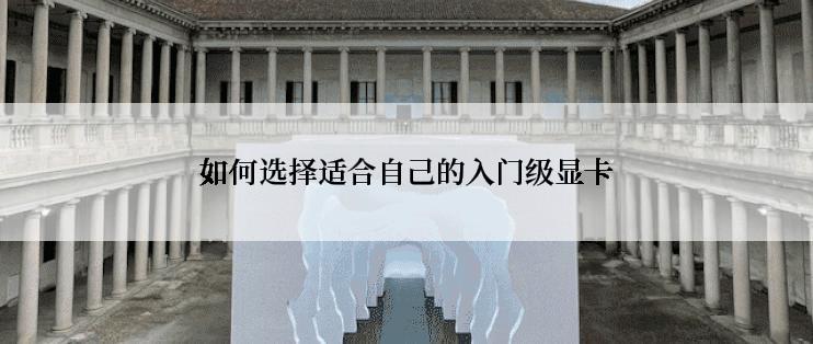 如何选择适合自己的入门级显卡