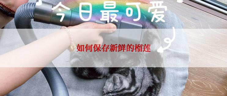 如何保存新鲜的榴莲