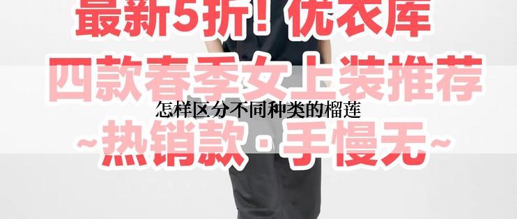 怎样区分不同种类的榴莲