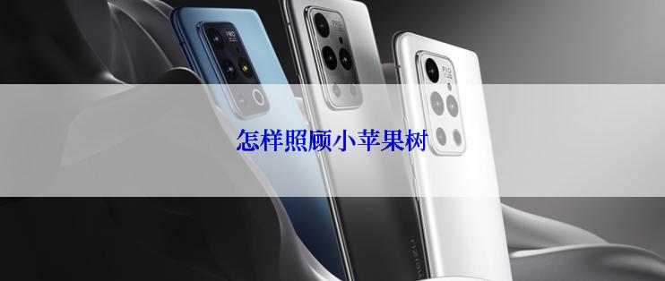 怎样照顾小苹果树