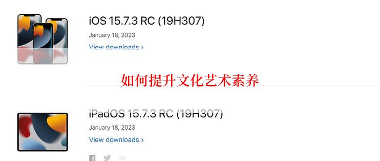 如何提升文化艺术素养