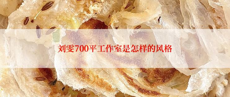 刘雯700平工作室是怎样的风格