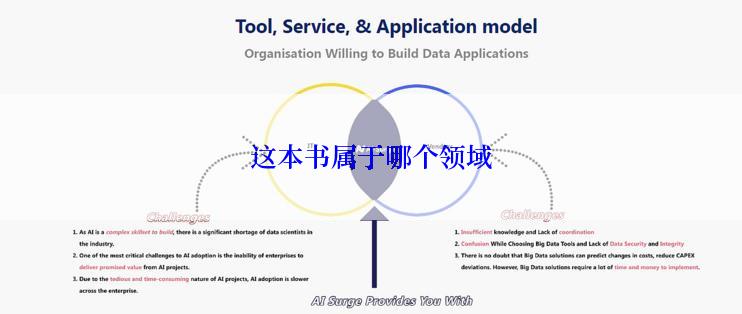 这本书属于哪个领域