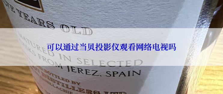 可以通过当贝投影仪观看网络电视吗