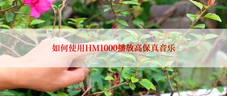 如何使用HM1000播放高保真音乐
