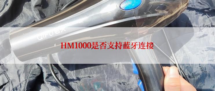 HM1000是否支持蓝牙连接