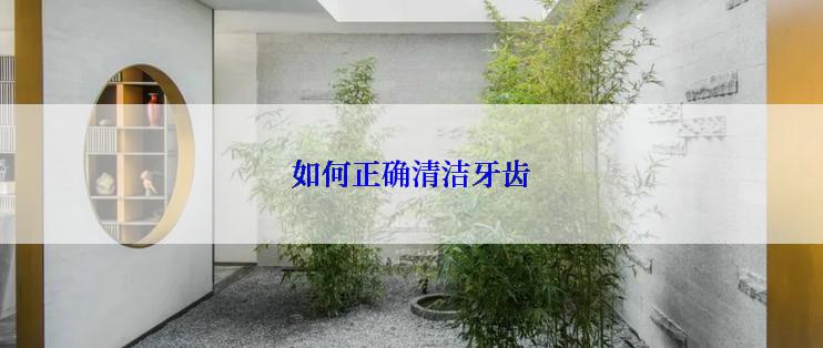 如何正确清洁牙齿