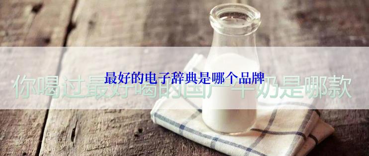 最好的电子辞典是哪个品牌