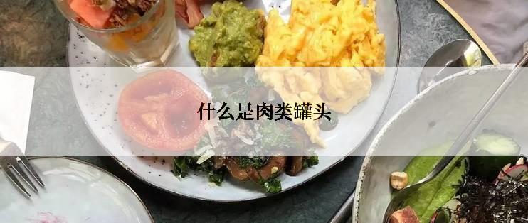 什么是肉类罐头