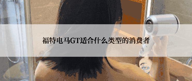 福特电马GT适合什么类型的消费者