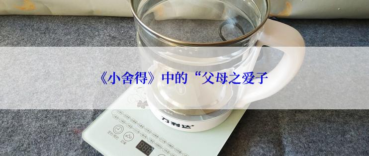 《小舍得》中的“父母之爱子