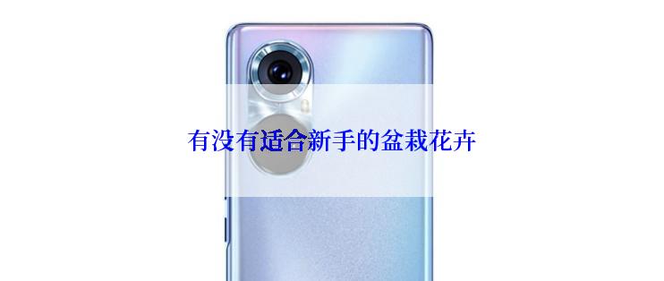 有没有适合新手的盆栽花卉