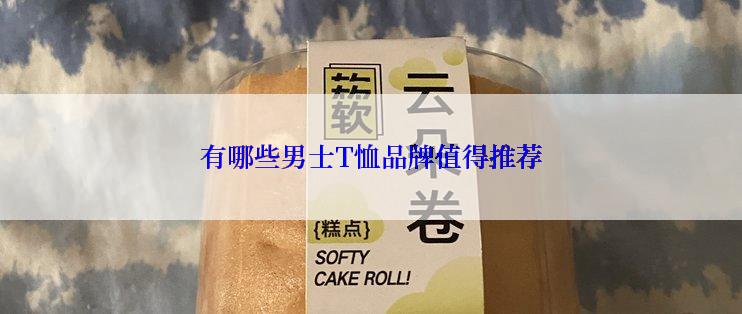 有哪些男士T恤品牌值得推荐