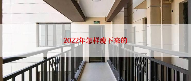 2022年怎样瘦下来的