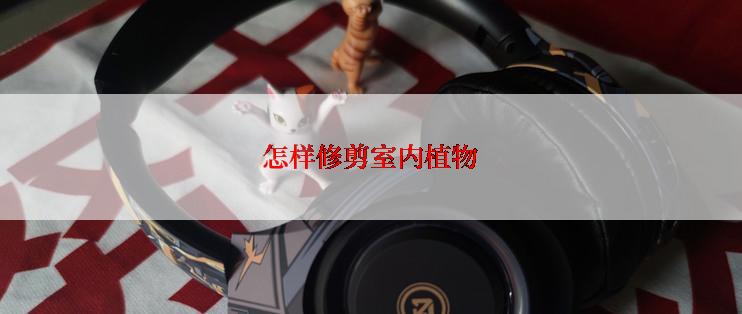 怎样修剪室内植物
