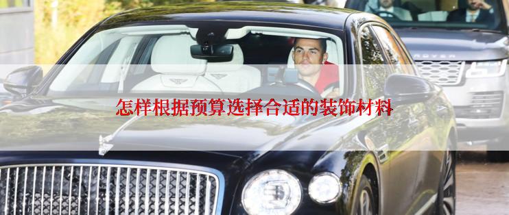 怎样根据预算选择合适的装饰材料