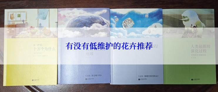 有没有低维护的花卉推荐