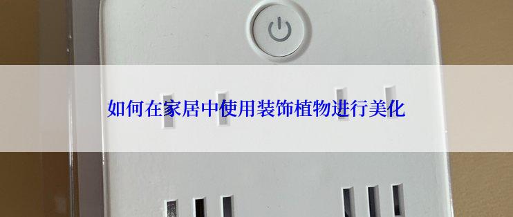 如何在家居中使用装饰植物进行美化