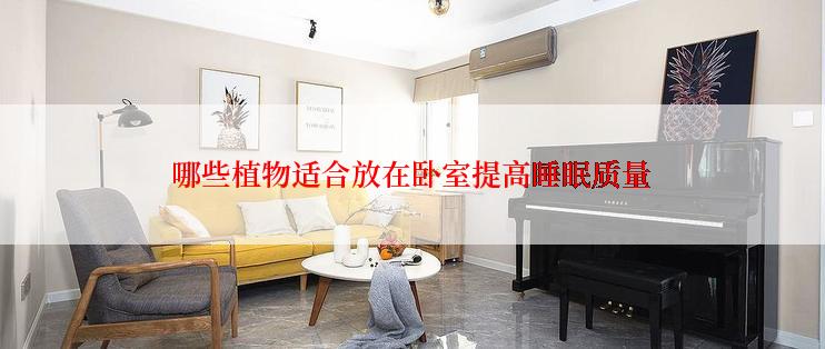 哪些植物适合放在卧室提高睡眠质量