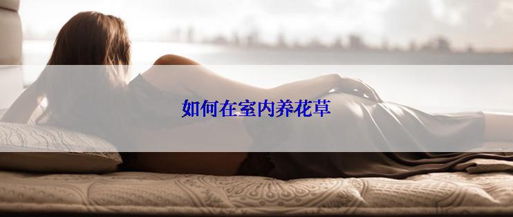 如何在室内养花草