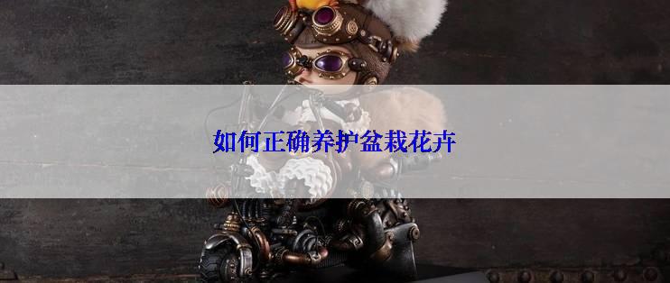 如何正确养护盆栽花卉