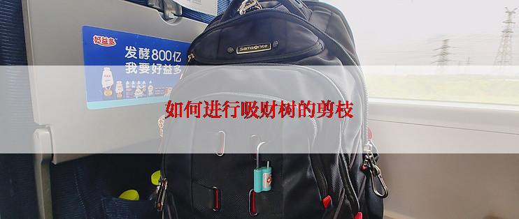 如何进行吸财树的剪枝