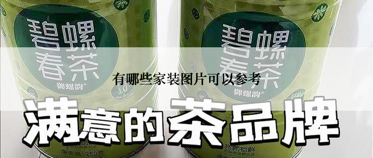 有哪些家装图片可以参考