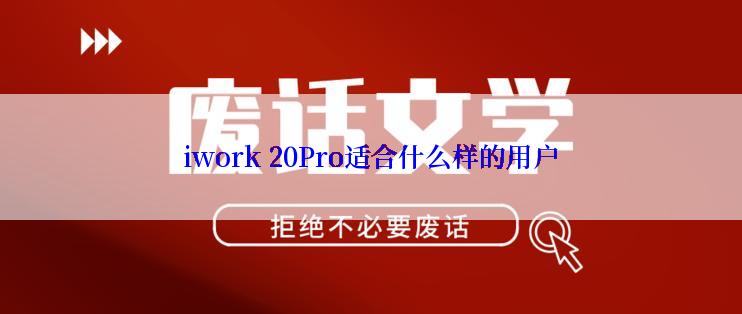iwork 20Pro适合什么样的用户