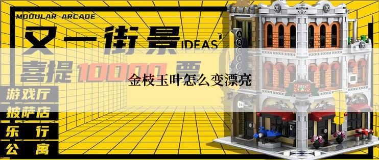 金枝玉叶怎么变漂亮