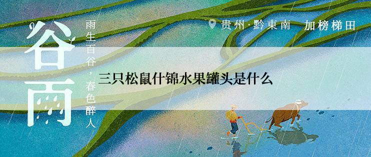 三只松鼠什锦水果罐头是什么