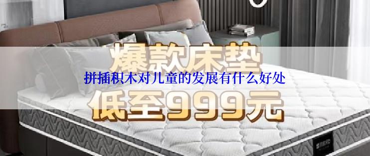 拼插积木对儿童的发展有什么好处
